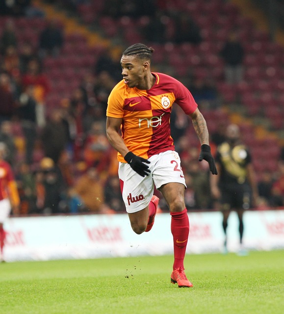 如果霍伊伦 如果霍伊伦