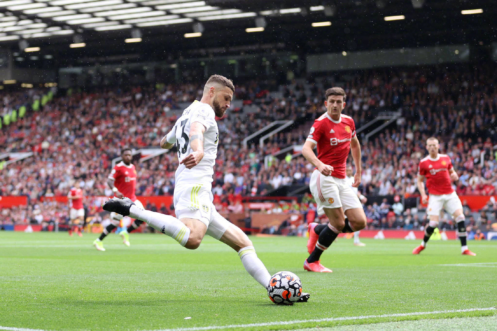 他们正书写 他们正书写