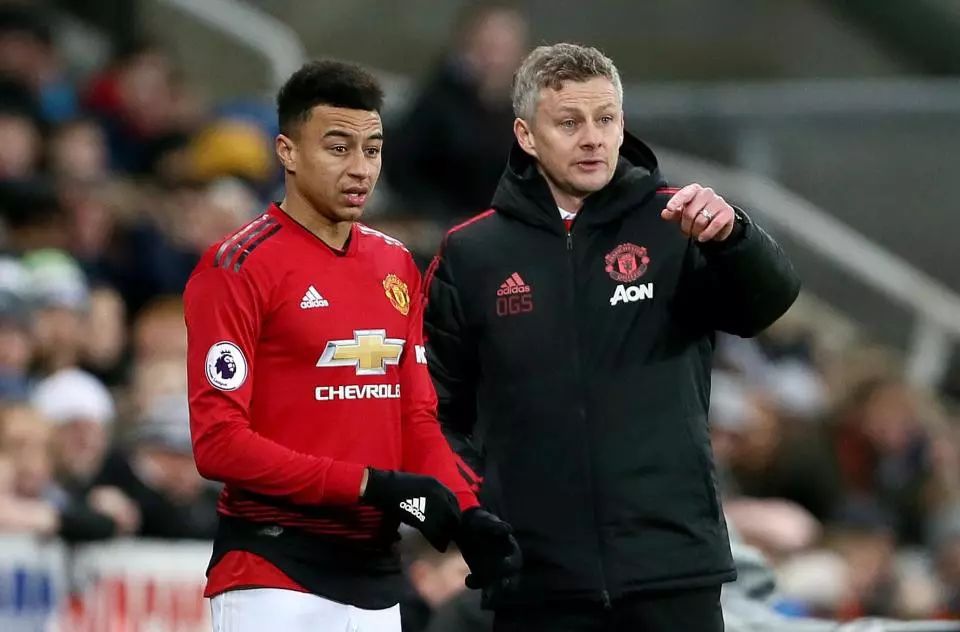 教练组在选 教练组在选