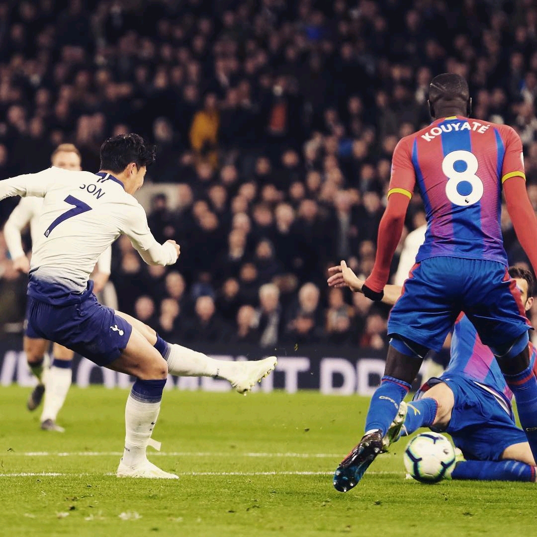 拉菲尼亚在 拉菲尼亚在